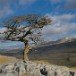 Twistleton Scar 130310_4